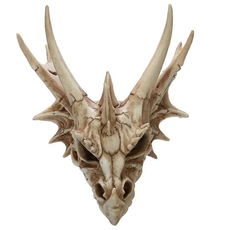 Dragon Skull Decoration - Dragon Gifts