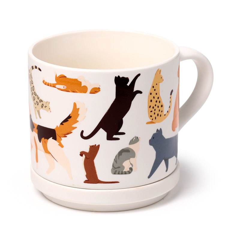 Feline Fine Cats (New) Porcelain Mug & Coaster Lid Set - Gift Arch