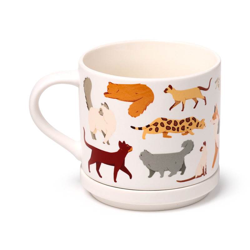 Feline Fine Cats (New) Porcelain Mug & Coaster Lid Set - Gift Arch