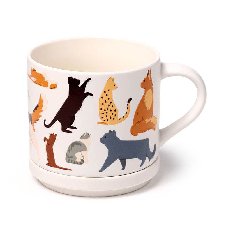 Feline Fine Cats (New) Porcelain Mug & Coaster Lid Set - Gift Arch