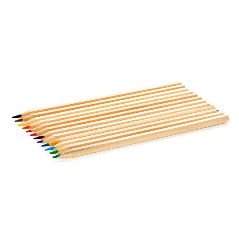Jan Pashley Highland Coo Cow Large Pencil Pot with 12 Colouring Pencils - Jan Pashley Designs