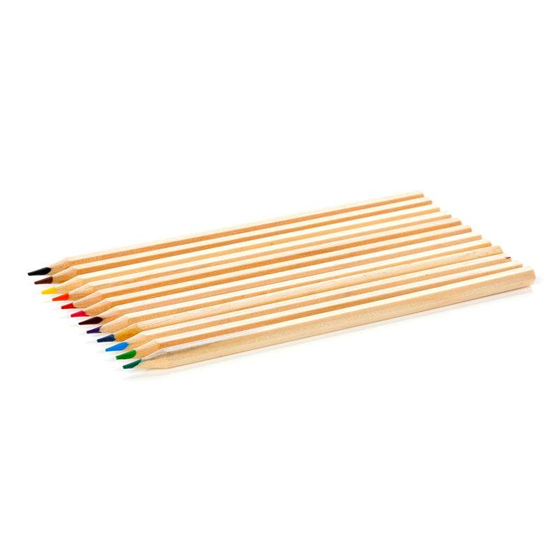 Animal Kingdom Large Pencil Pot with 12 Colouring Pencils - Gift Arch