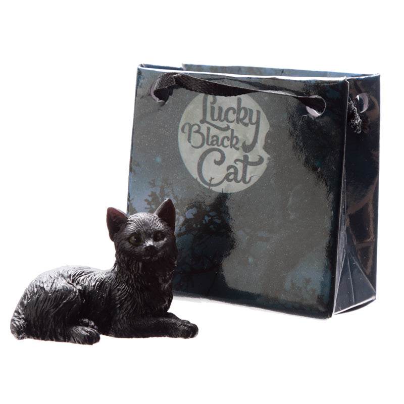 Lucky Black Cat in a Mini Gift Bag - Gift Arch