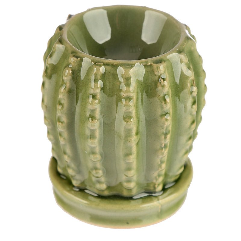 Eden Mini Cactus Ceramic Oil Burner - Gift Arch