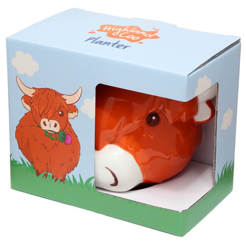 Ceramic Highland Coo Cow Head Wall Planter/Plant Pot - Gift Arch