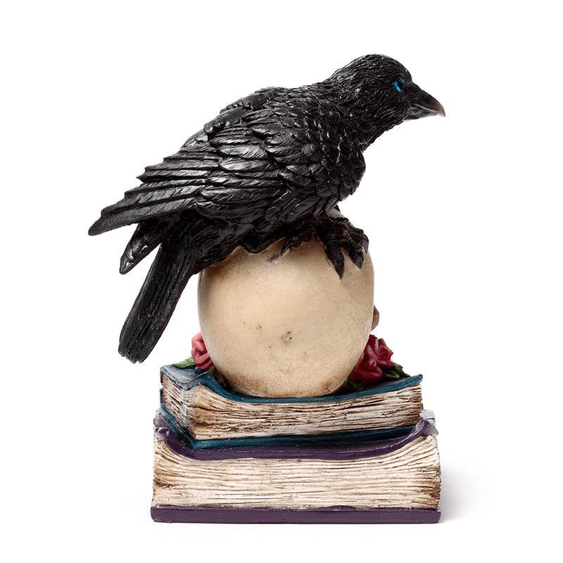 Crow Perched on LED Skull & Books - Gift Arch