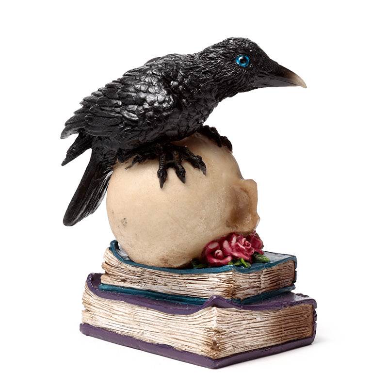 Crow Perched on LED Skull & Books - Gift Arch