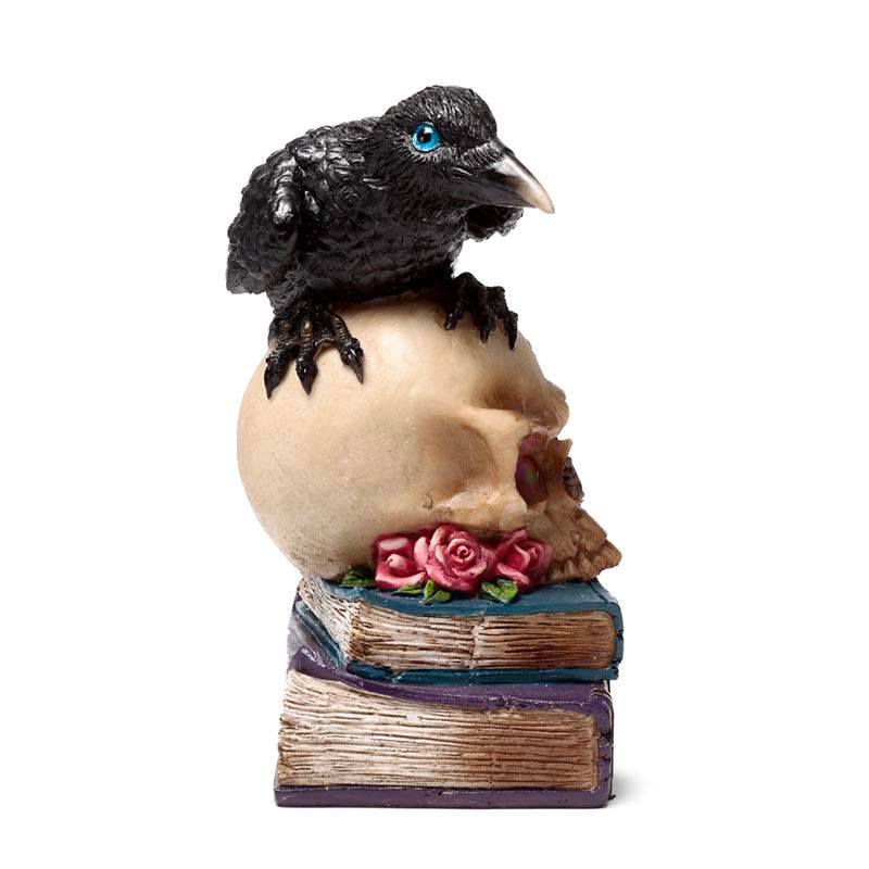 Crow Perched on LED Skull & Books - Gift Arch