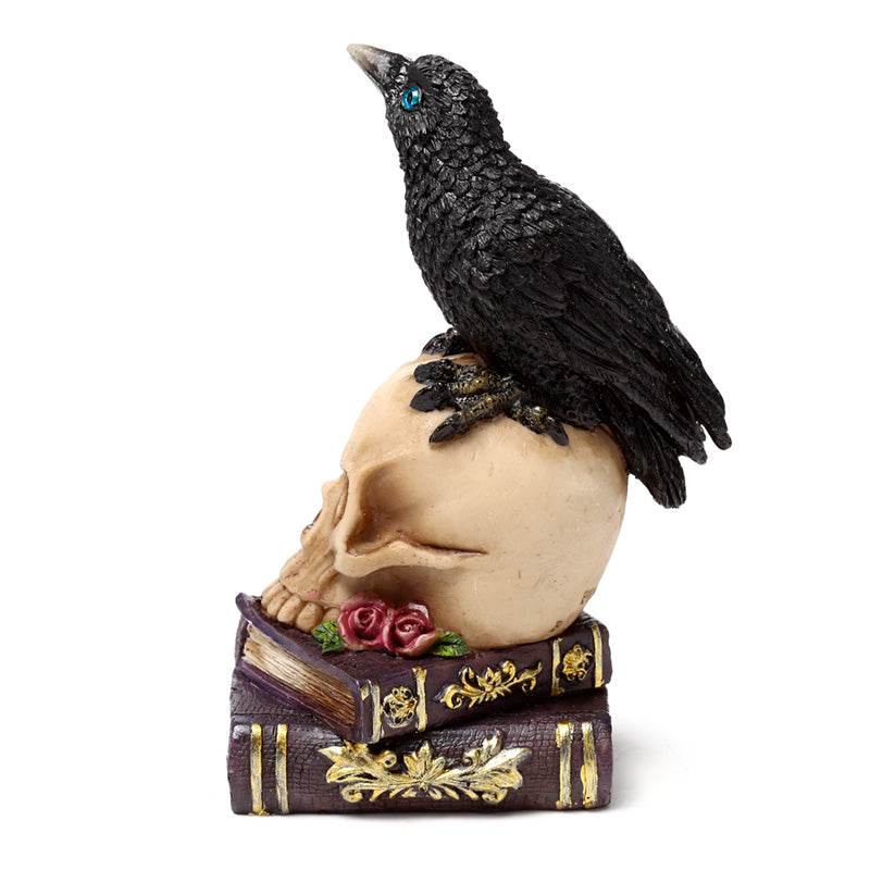 Crow Perched on Skull & Books - Gift Arch