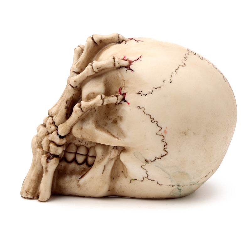 Gruesome Skull Head with Skeleton Claw Hand - Gift Arch