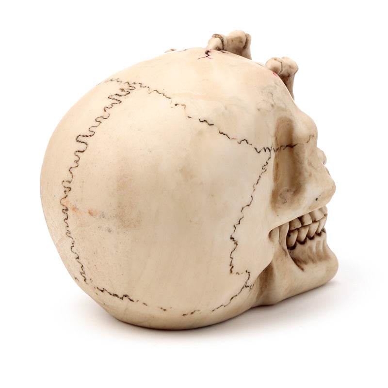Gruesome Skull Head with Skeleton Claw Hand - Gift Arch