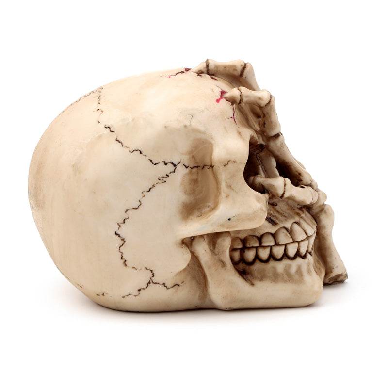 Gruesome Skull Head with Skeleton Claw Hand - Gift Arch