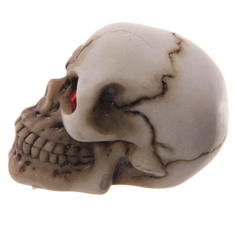 Gruesome Skull with Red Gem Eyes Decoration - Gift Arch