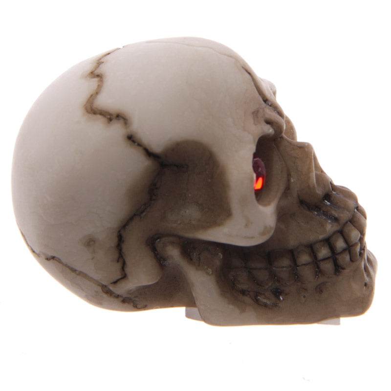 Gruesome Skull with Red Gem Eyes Decoration - Gift Arch