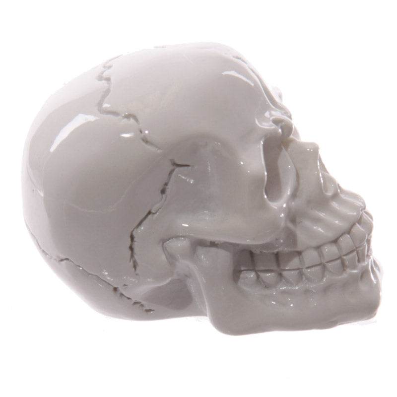 Gruesome Small Skull Decorations - Gift Arch