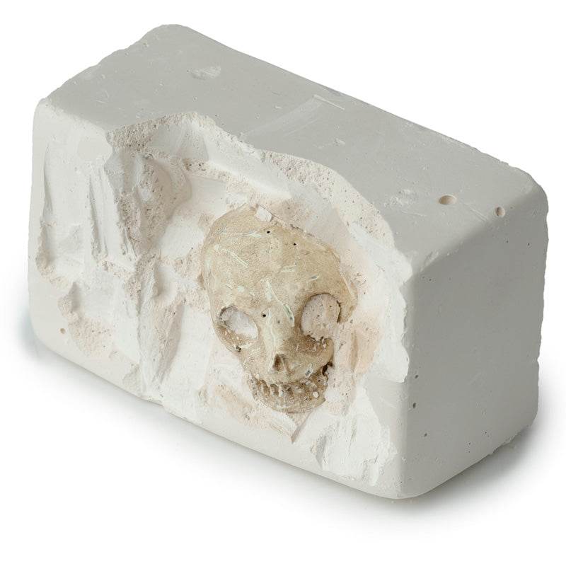 Human Skull Dig-A-Saurs Dig it Out Kit - Gift Arch