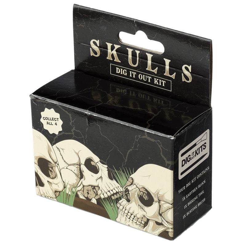 Human Skull Dig-A-Saurs Dig it Out Kit - Gift Arch