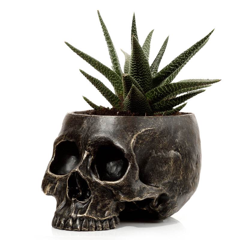 Skull Garden Planter - Gift Arch