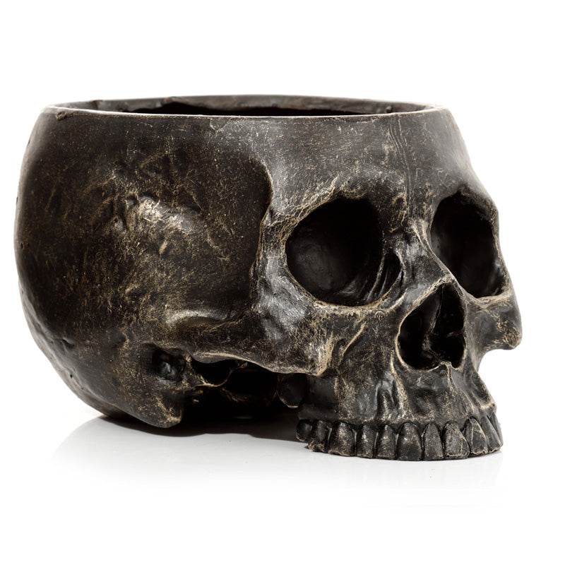 Skull Garden Planter - Gift Arch