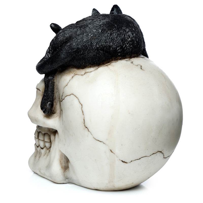 Skull with Black Cat Ornament - Gift Arch