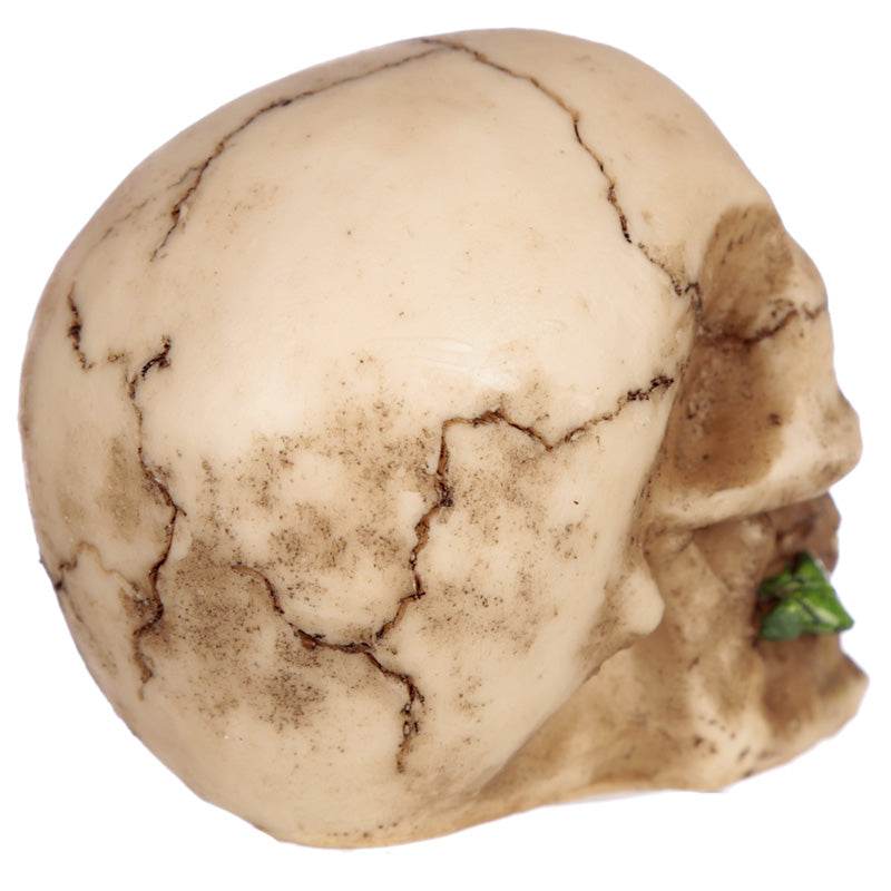 Skull with Rose in Teeth - Gift Arch