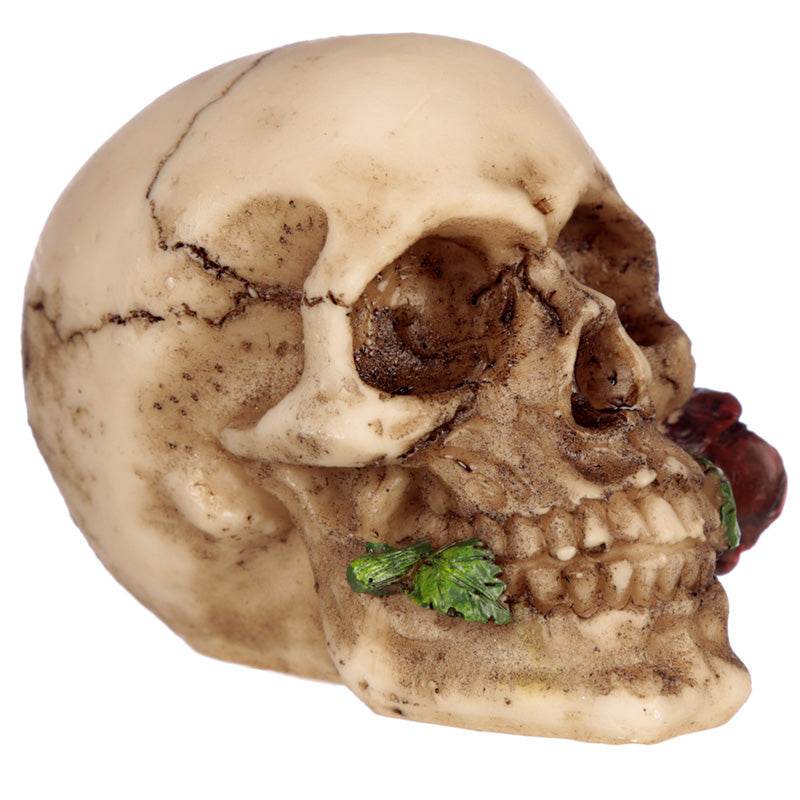 Skull with Rose in Teeth - Gift Arch