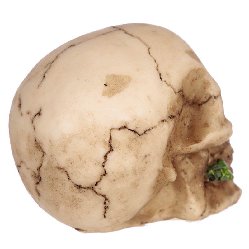 Skull with Rose in Teeth - Gift Arch