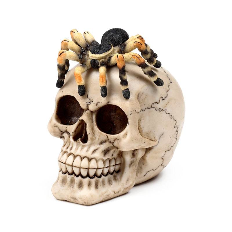 Skull with Spider - Gift Arch