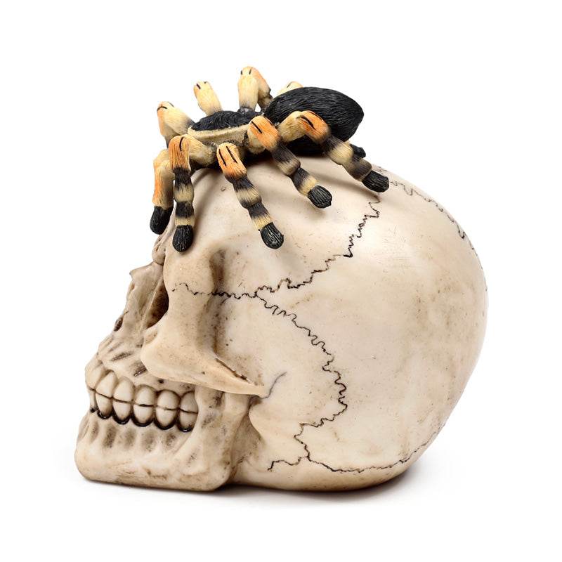 Skull with Spider - Gift Arch