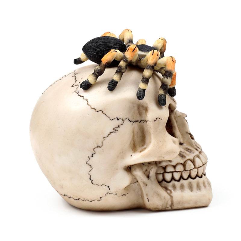 Skull with Spider - Gift Arch