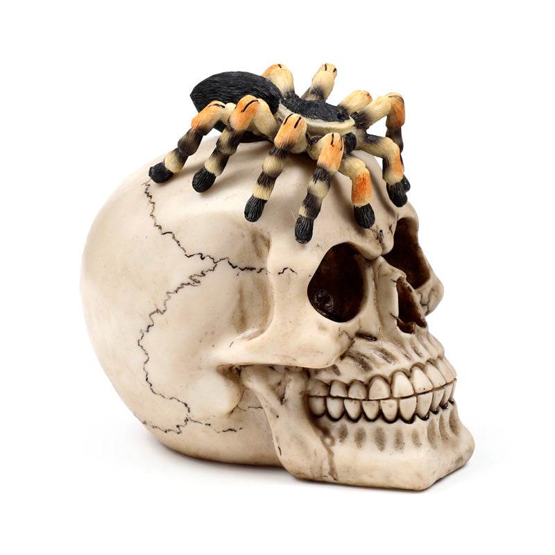 Skull with Spider - Gift Arch