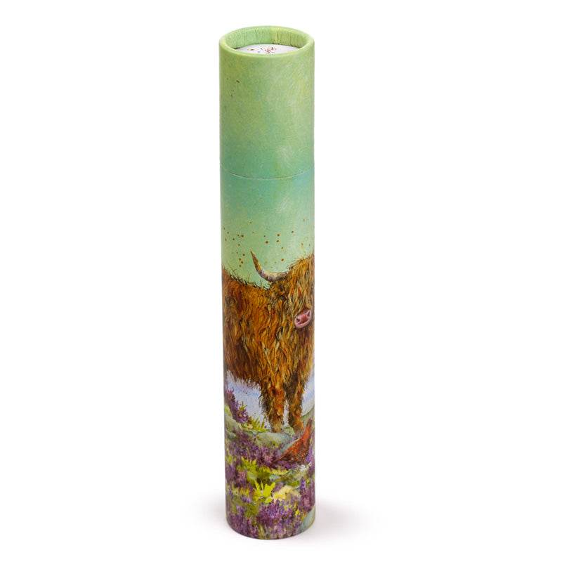 Jan Pashley Highland Coo Cow Large Pencil Pot with 12 Colouring Pencils - Gift Arch
