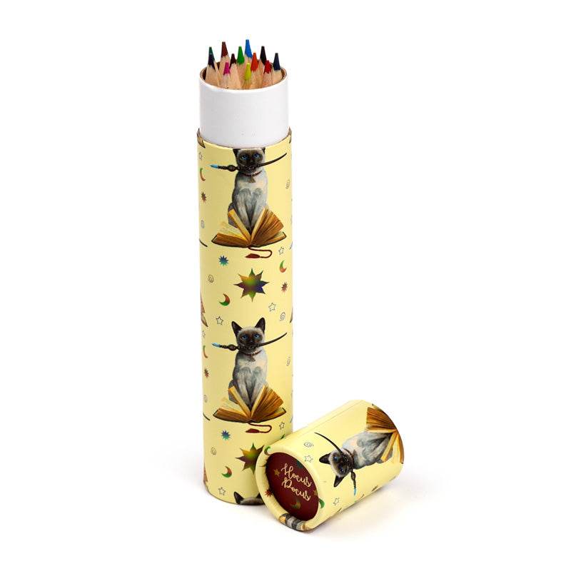 Lisa Parker Hocus Pocus Cat Large Pencil Pot with 12 Colouring Pencils - Gift Arch