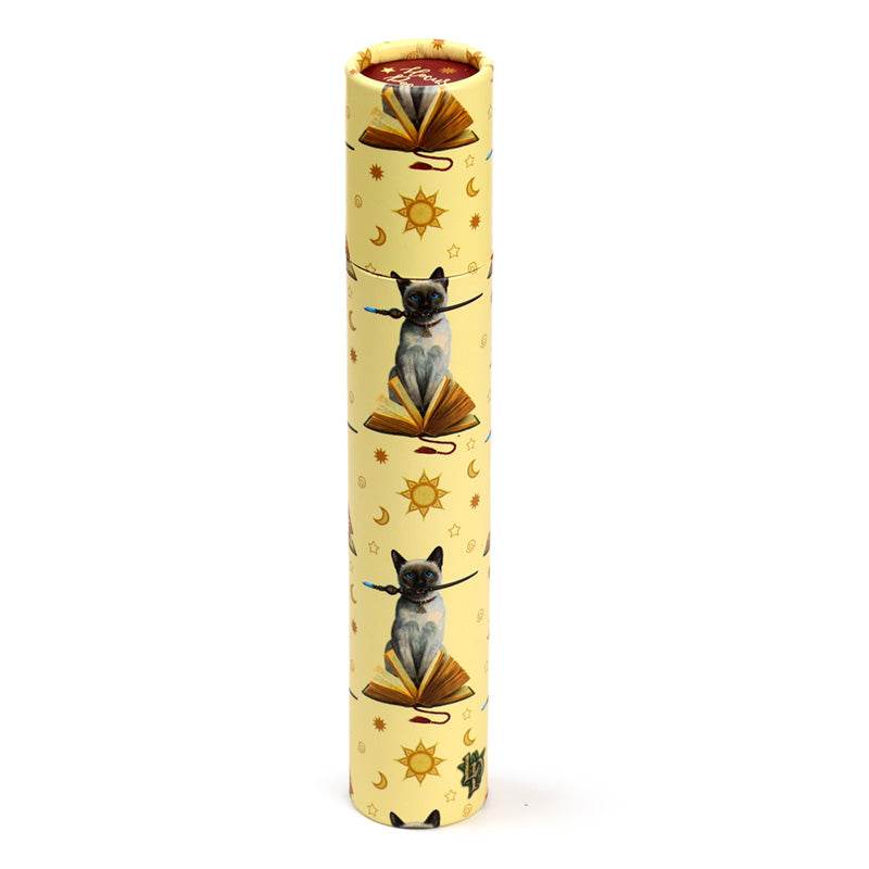 Lisa Parker Hocus Pocus Cat Large Pencil Pot with 12 Colouring Pencils - Gift Arch