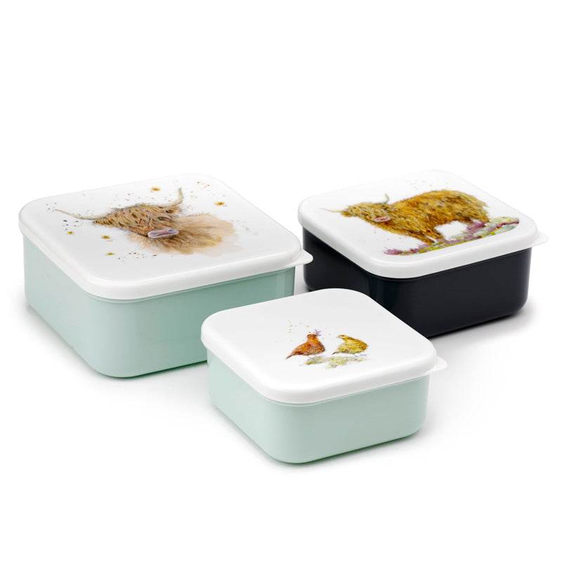 Set of 3 Lunch Box M/L/XL Jan Pashley Highland Coo Cow - Gift Arch