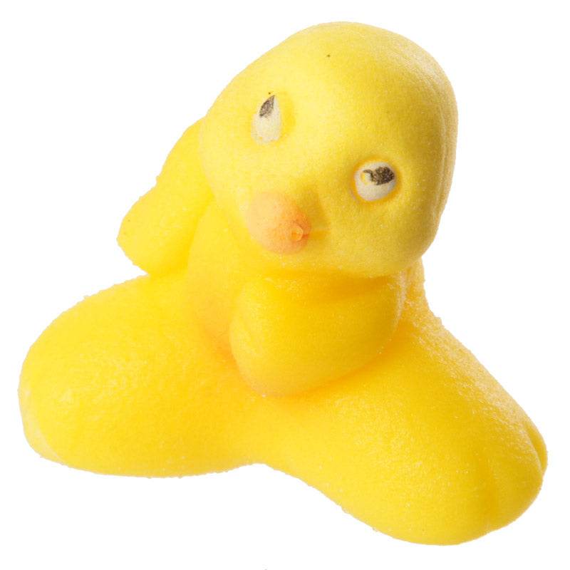 Chicken Hatching Egg - Gift Arch