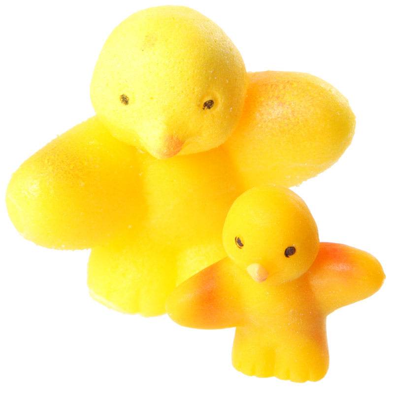 Chicken Hatching Egg - Gift Arch