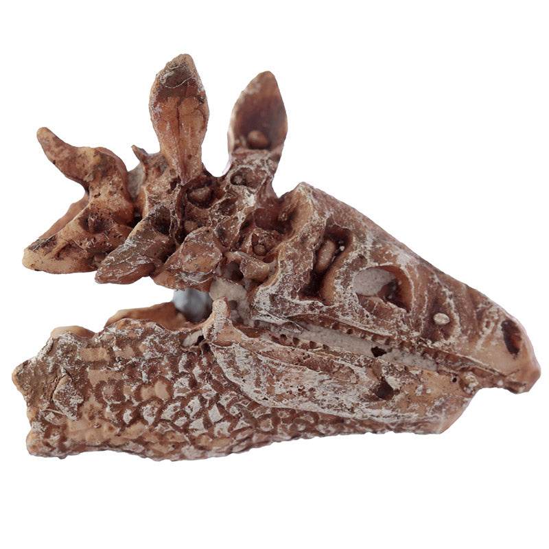 Rawr Dinosaur Skull Fossil Dig-A-Saurs Dig it Out Kit - Gift Arch