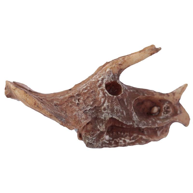 Rawr Dinosaur Skull Fossil Dig-A-Saurs Dig it Out Kit - Gift Arch