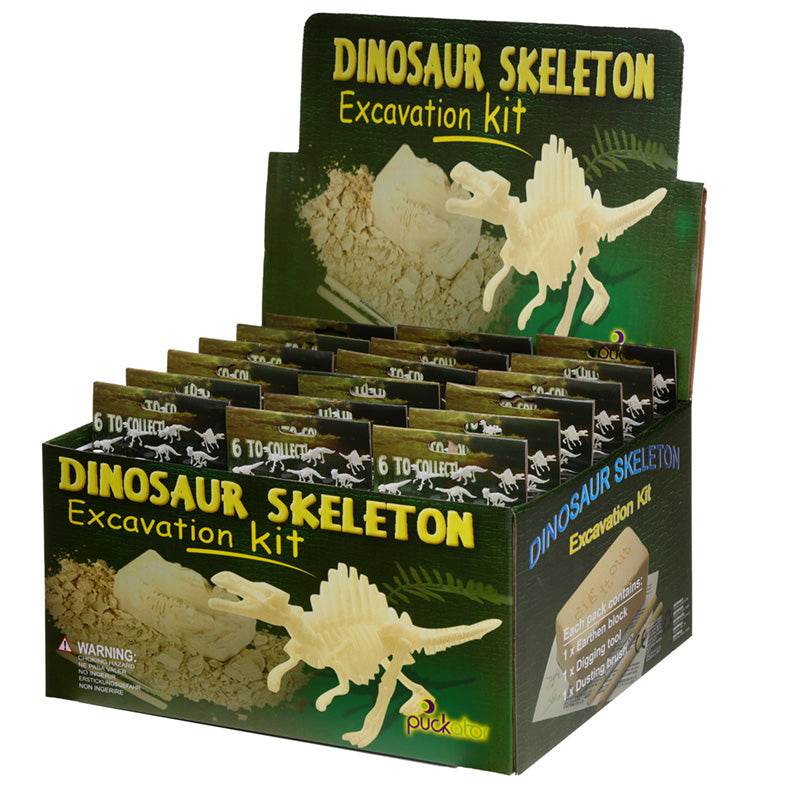 Small Dinosaur Skeleton Dig It Out Kit - Gift Arch