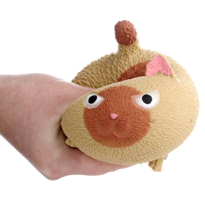 Squeezy Cat Toy - Gift Arch