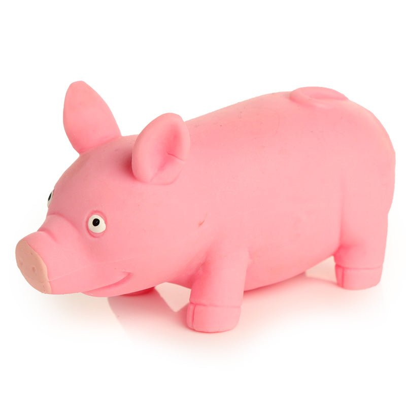 Squeezy Stretchy Pig - Gift Arch