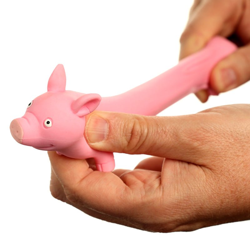 Squeezy Stretchy Pig - Gift Arch
