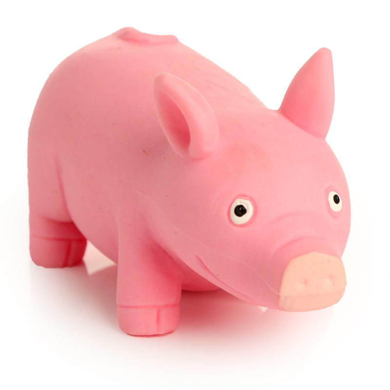 Squeezy Stretchy Pig - Gift Arch