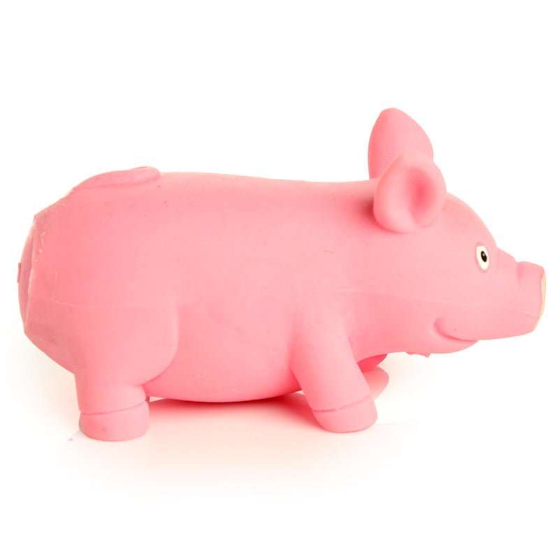 Squeezy Stretchy Pig - Gift Arch