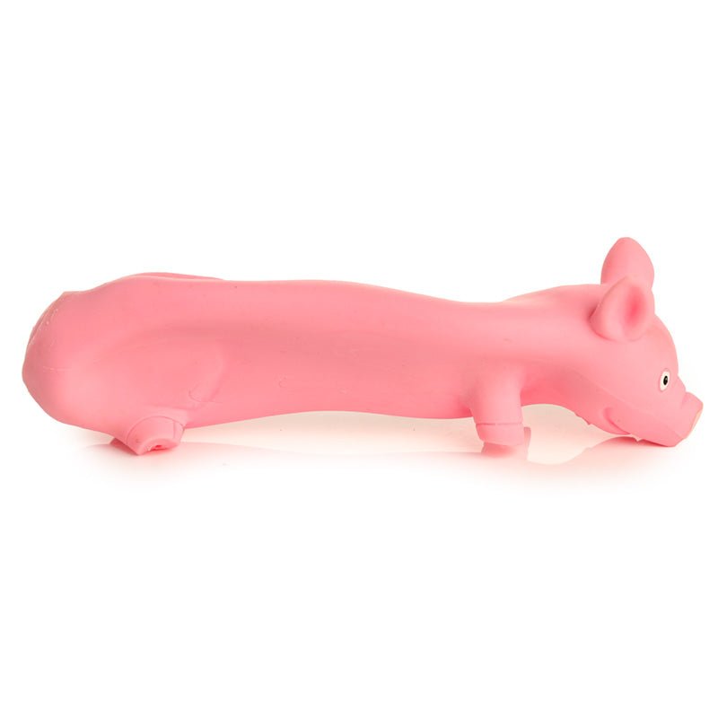 Squeezy Stretchy Pig - Gift Arch