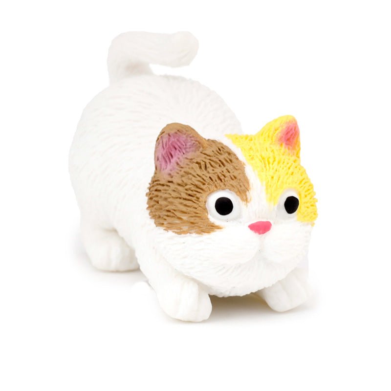 Stretchy Cat Toy - Gift Arch