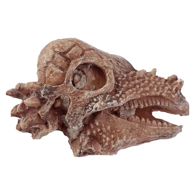 Rawr Dinosaur Skull Fossil Dig-A-Saurs Dig it Out Kit - Novelty Toys