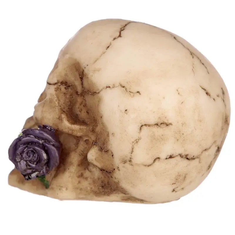 Skull with Rose in Teeth - Gothic Fantasy Skulls & Skeletons