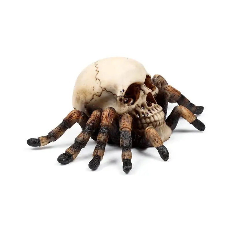 Skull with Spider Legs - Gothic Fantasy Skulls & Skeletons